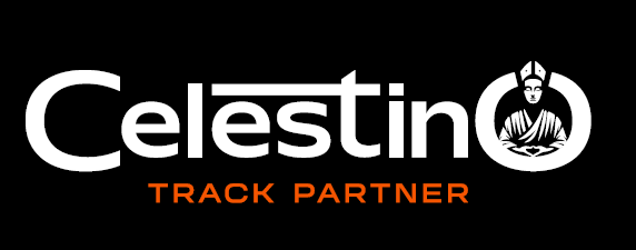 Celestino Logo
